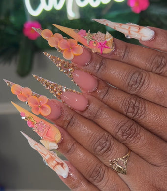 Seashell Solstice set
